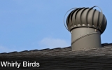 Whirly Birds